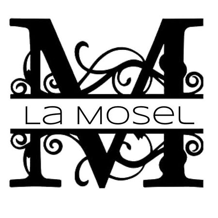 Weinhof Winningen Traumwohnung Im „La Mosel• Εξωτερικό φωτογραφία
